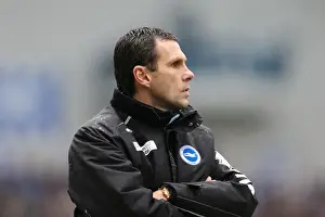 Crystal Palace -17-03-2013 Prints: Brighton & Hove Albion vs. Crystal Palace (2012-13): A Past Season Clash - March 17, 2013