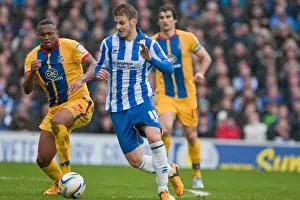 Brighton & Hove Albion vs. Crystal Palace (2012-13): A Past Season Clash - March 17, 2013