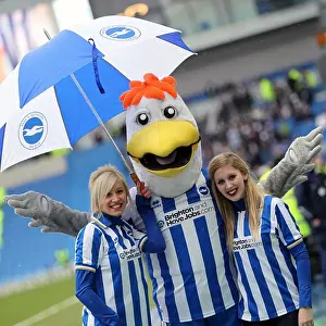 Crystal Palace -17-03-2013 Prints: Brighton & Hove Albion vs. Crystal Palace (2012-13): Reliving the Thrilling March Clash