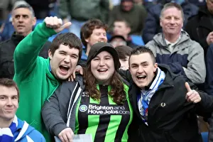 Brighton & Hove Albion vs. Crystal Palace (2012-13): Reliving the Thrills of the Exciting March 17, 2013 Clash