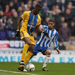 Crystal Palace -17-03-2013 Prints: Brighton & Hove Albion vs. Crystal Palace (2012-13 Season): A Home Game Review - March 17
