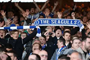 Brighton & Hove Albion vs. Crystal Palace: 2013 Play-Off Semifinal First Leg