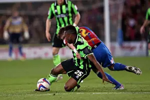 Crystal Palace Play-Off 1st Leg - 10-05-2013 Prints: Brighton & Hove Albion vs. Crystal Palace: 2013 Play-Off Semifinal First Leg