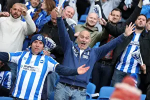 Brighton & Hove Albion vs. Crystal Palace: 2013 Play-Off Semifinal Second Leg