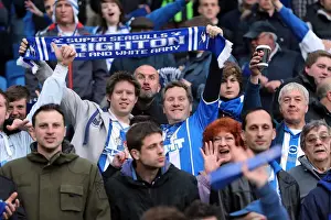 Brighton & Hove Albion vs. Crystal Palace: 2013 Play-Off Semifinal Second Leg