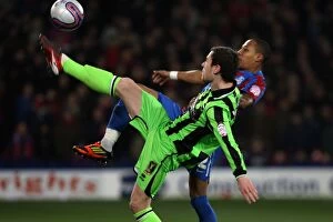 Images Dated 31st January 2012: Brighton & Hove Albion vs. Crystal Palace: Away Game (31-01-12)