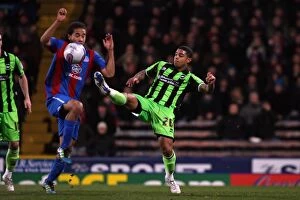 Images Dated 31st January 2012: Brighton & Hove Albion vs. Crystal Palace (Away Game - 31-01-12)