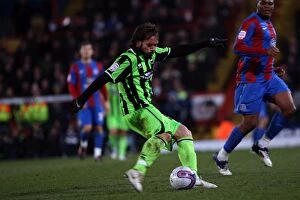 Images Dated 31st January 2012: Brighton & Hove Albion vs. Crystal Palace: Away Game - January 31, 2012 (Crystal Palace)