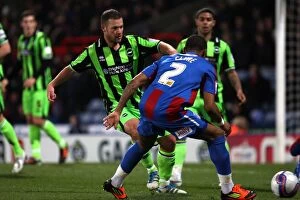Images Dated 31st January 2012: Brighton & Hove Albion vs. Crystal Palace: 2011-12 Away Game