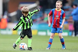 Brighton & Hove Albion vs. Crystal Palace (Away): 01-12-2012 - A 2012-13 Season Game