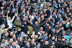 Brighton & Hove Albion vs. Crystal Palace: Home Battle - March 17, 2013 (Season 2012-13)
