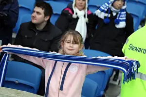 Brighton & Hove Albion vs. Crystal Palace: A Past Clash from the 2012-13 Season (17-03-2013)