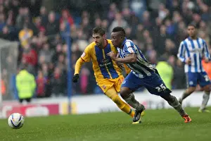 Crystal Palace -17-03-2013 Prints: Brighton & Hove Albion vs. Crystal Palace: A Past Clash from the 2012-13 Season (17-03-2013)
