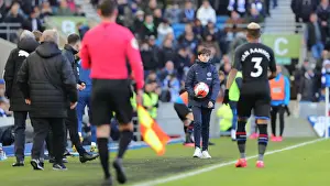 Brighton and Hove Albion vs. Crystal Palace: A Premier League Clash (29FEB20)