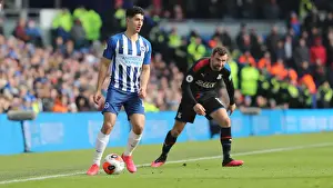 Brighton and Hove Albion vs. Crystal Palace: A Premier League Clash (29FEB20)