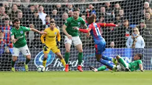 Brighton and Hove Albion vs. Crystal Palace: A Premier League Showdown at Selhurst Park (09MAR19)