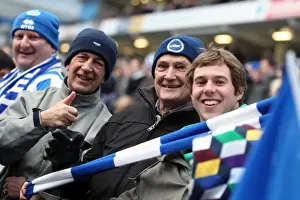 Brighton & Hove Albion vs. Crystal Palace: A Rivaling Home Battle - March 17, 2013 (Season 2012-13)