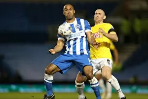 Images Dated 3rd March 2015: Brighton & Hove Albion vs Derby County: Chris O'Grady's Action-Packed Performance in the Sky Bet