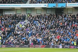 Images Dated 2nd May 2016: Brighton and Hove Albion vs. Derby County: Championship Showdown at American Express Community