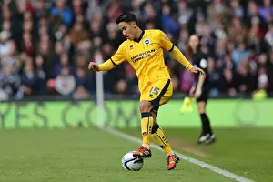 Brighton & Hove Albion vs. Derby County: 2013-14 Season Away Game (11 May 2014)