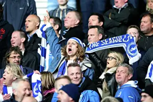 Brighton & Hove Albion vs. Derby County: 2013-14 Season Away Game (11 May 2014)