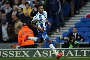 Brighton & Hove Albion vs. Derby County: 2013-14 Season Home Game (8 May)