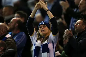 Brighton & Hove Albion vs. Derby County: 2013-14 Season Home Game (8 May)