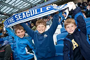 Brighton & Hove Albion vs. Derby County: 2013-14 Season Home Game (8 May)