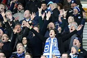 Brighton & Hove Albion vs. Derby County (Away Game - January 18, 2014)
