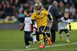 Brighton & Hove Albion vs. Derby County (Away Game - January 18, 2014)