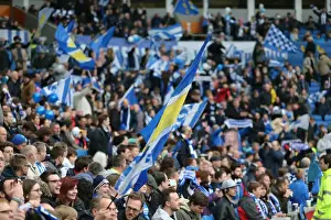 Brighton and Hove Albion vs. Derby County: Championship Showdown at American Express Community Stadium (02.05.2016)