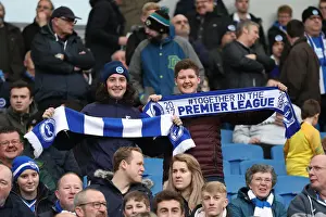 Brighton and Hove Albion vs. Derby County: FA Cup Battle at American Express Community Stadium (16FEB19)