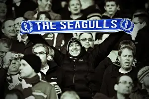 Brighton & Hove Albion vs. Derby County - January 18, 2014 (Away Game)