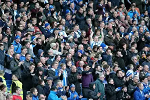 Brighton & Hove Albion vs Doncaster Rovers (08-02-2014): A Home Game from the 2013-14 Season