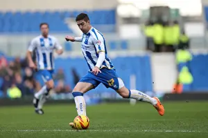 Brighton & Hove Albion vs Doncaster Rovers (08-02-2014): A Home Game from the 2013-14 Season