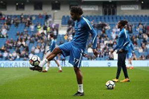 Images Dated 15th October 2017: Brighton and Hove Albion vs. Everton: Premier League Showdown at American Express Community