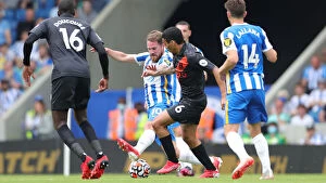 Images Dated 28th August 2021: Brighton & Hove Albion vs Everton: Premier League Clash at American Express Community Stadium