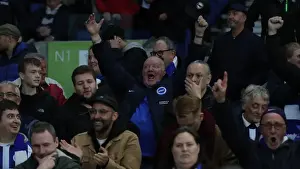 Brighton and Hove Albion vs. Everton: A Premier League Battle at American Express Community Stadium (26OCT19)