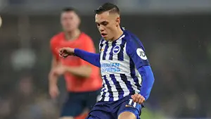 Brighton and Hove Albion vs. Everton: A Premier League Battle at American Express Community Stadium (26OCT19)