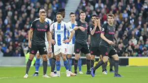 Brighton and Hove Albion vs. Everton: Premier League Battle at American Express Community Stadium (29DEC18)