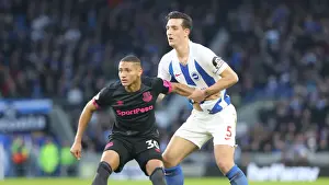 Brighton and Hove Albion vs. Everton: Premier League Battle at American Express Community Stadium (29DEC18)