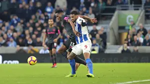Brighton and Hove Albion vs Everton: Premier League Battle at American Express Community Stadium (29DEC18)