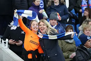 Brighton and Hove Albion vs. Everton: Premier League Battle at American Express Community Stadium (29DEC18)