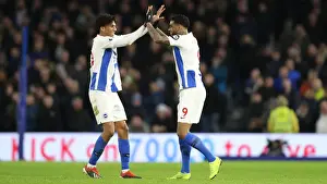 Brighton and Hove Albion vs. Everton: Premier League Battle at American Express Community Stadium (29DEC18)