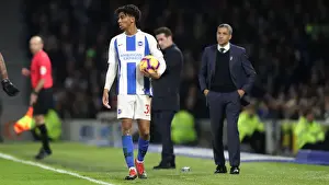 Brighton and Hove Albion vs. Everton: Premier League Battle at American Express Community Stadium (29DEC18)