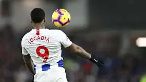 Brighton and Hove Albion vs. Everton: Premier League Battle at American Express Community Stadium (29DEC18)
