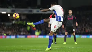 Brighton and Hove Albion vs. Everton: Premier League Battle at American Express Community Stadium (29DEC18)