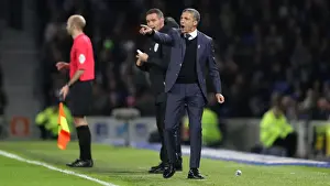 Brighton and Hove Albion vs. Everton: Premier League Battle at American Express Community Stadium (29DEC18)