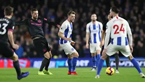 Brighton and Hove Albion vs. Everton: Premier League Battle at American Express Community Stadium (29DEC18)