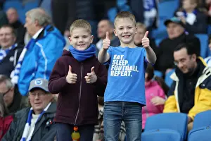 Brighton and Hove Albion vs. Everton: A Premier League Clash at American Express Community Stadium (29DEC18)